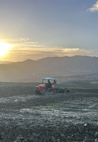 Azienda Agricola Lorenzini Alberto Toscana
